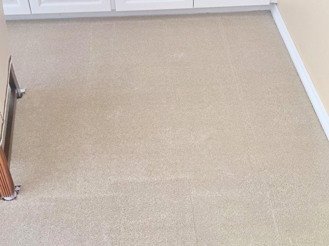 After picture Carpet Cleaning by Hillsboro-Absolute Carpet Cleaning in Hillsboro, OR.Picture