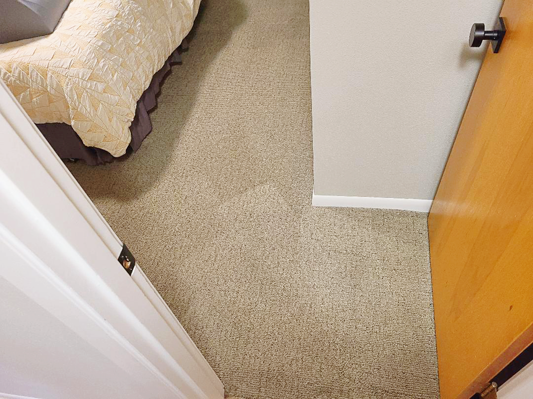 After picture Carpet Cleaning by Hillsboro-Absolute Carpet Cleaning in Hillsboro, OR.
