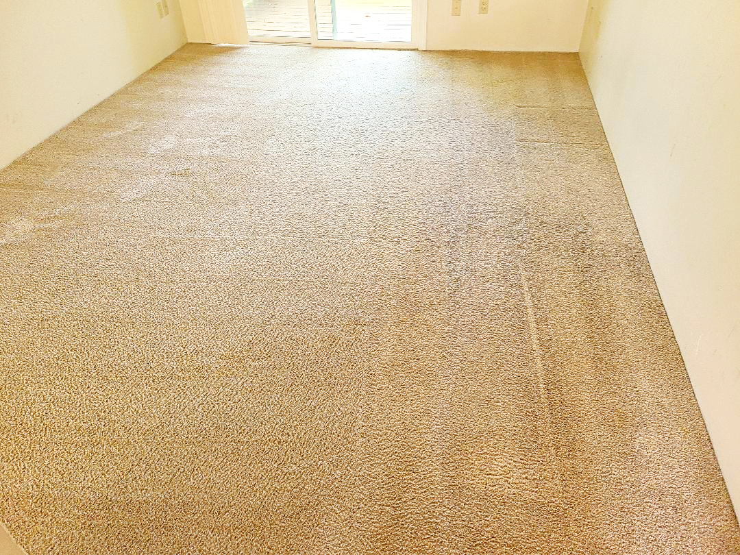 Before picture Carpet Cleaning by Hillsboro-Absolute Carpet Cleaning in Hillsboro, OR.Picture